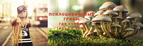первитин Горняк