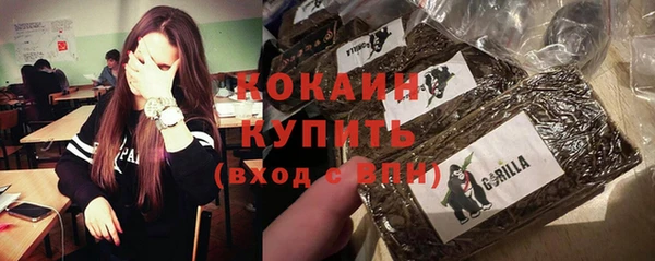 первитин Горняк